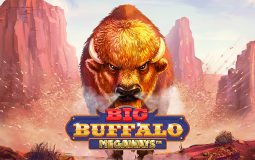 Ulasan Slot Online Big Buffalo Megaways