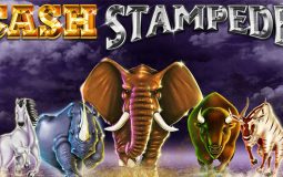 Mesin Slot Cash Stampede