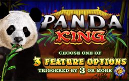 Mesin Slot Panda King