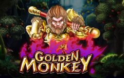 Mesin Slot Golden Monkey – Spadegaming